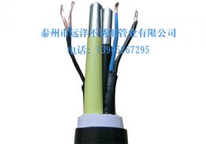 Electric manifold tube
